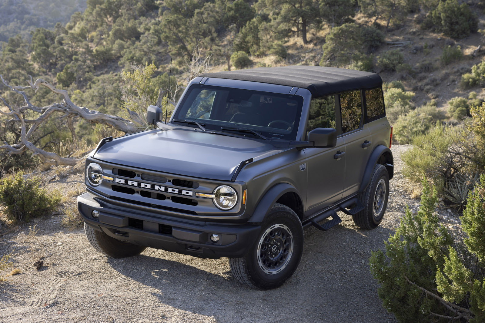 Ford пообещал, что европейский Bronco оправдает своё название